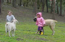 JCNessie and goat and kids.jpg (16526 bytes)
