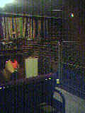 Our Kennel Room 1 (8600 bytes)